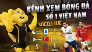 Ưu điểm của Socolive