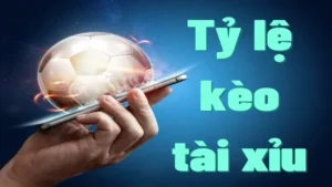 Tài xỉu 1 trái là gì?