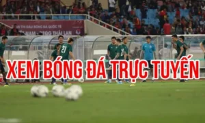 Kênh trực tiếp bóng đá Bachtuoctv