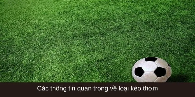 Nhận biết kèo thơm vô cùng quan trọng